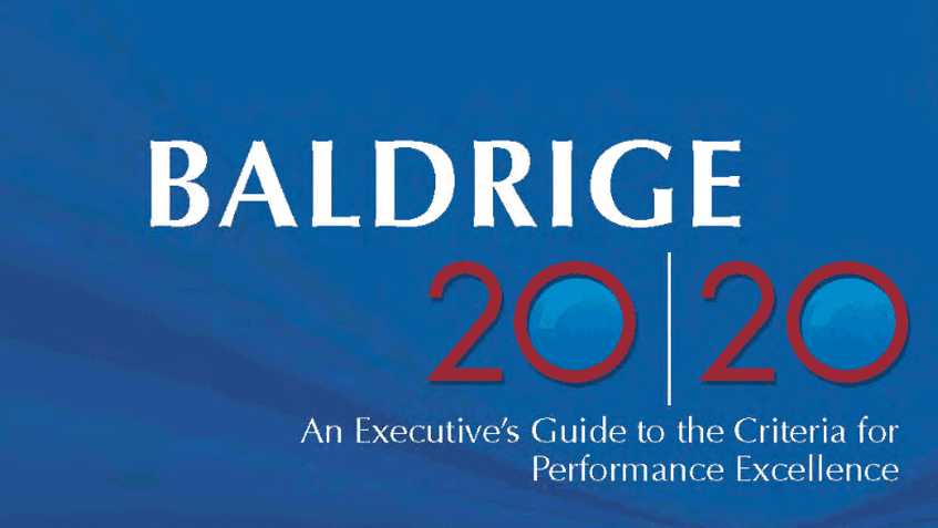 20|20 Executive Guide
